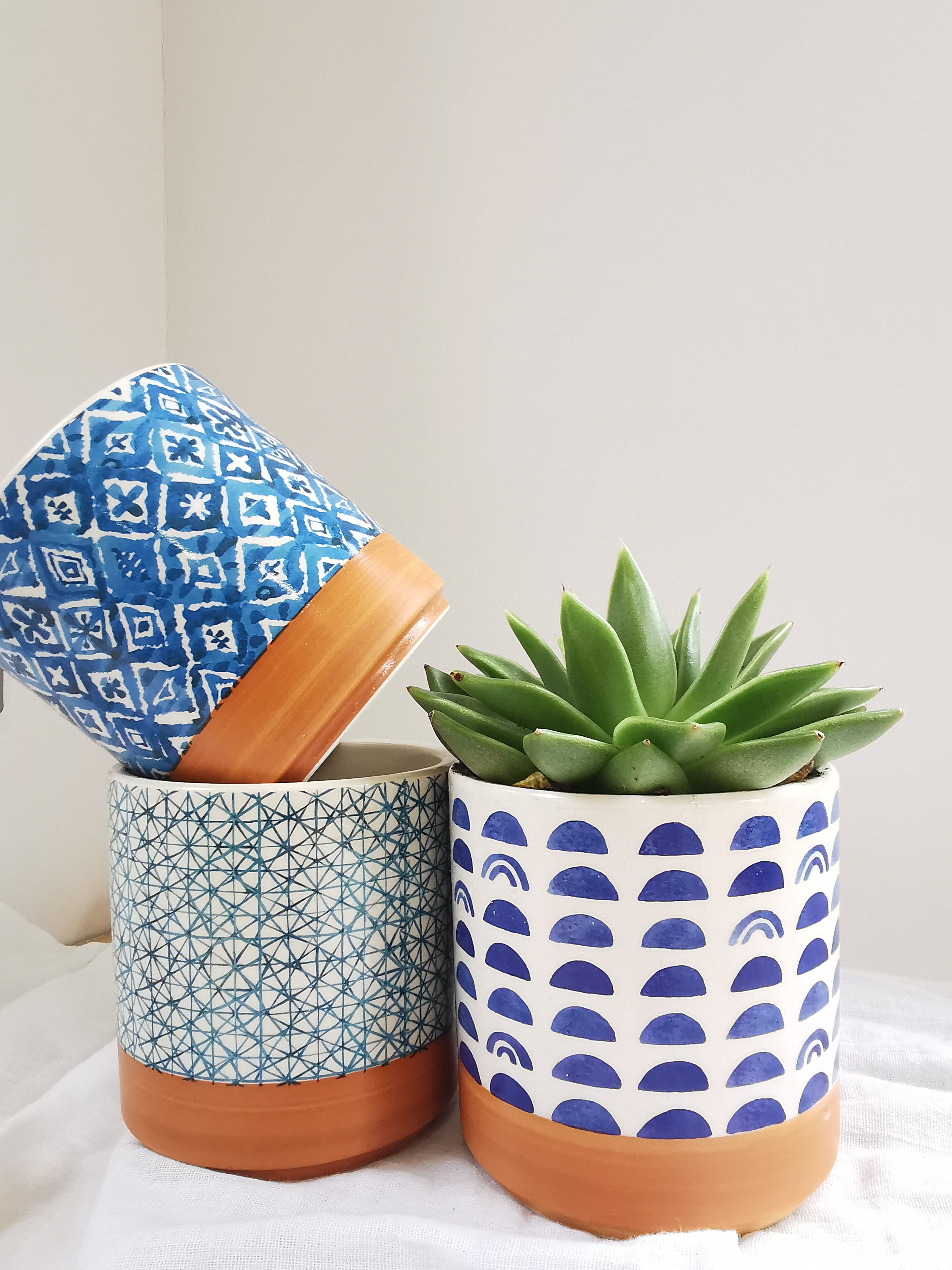 Indoor Ceramic Plant Pots Almasea