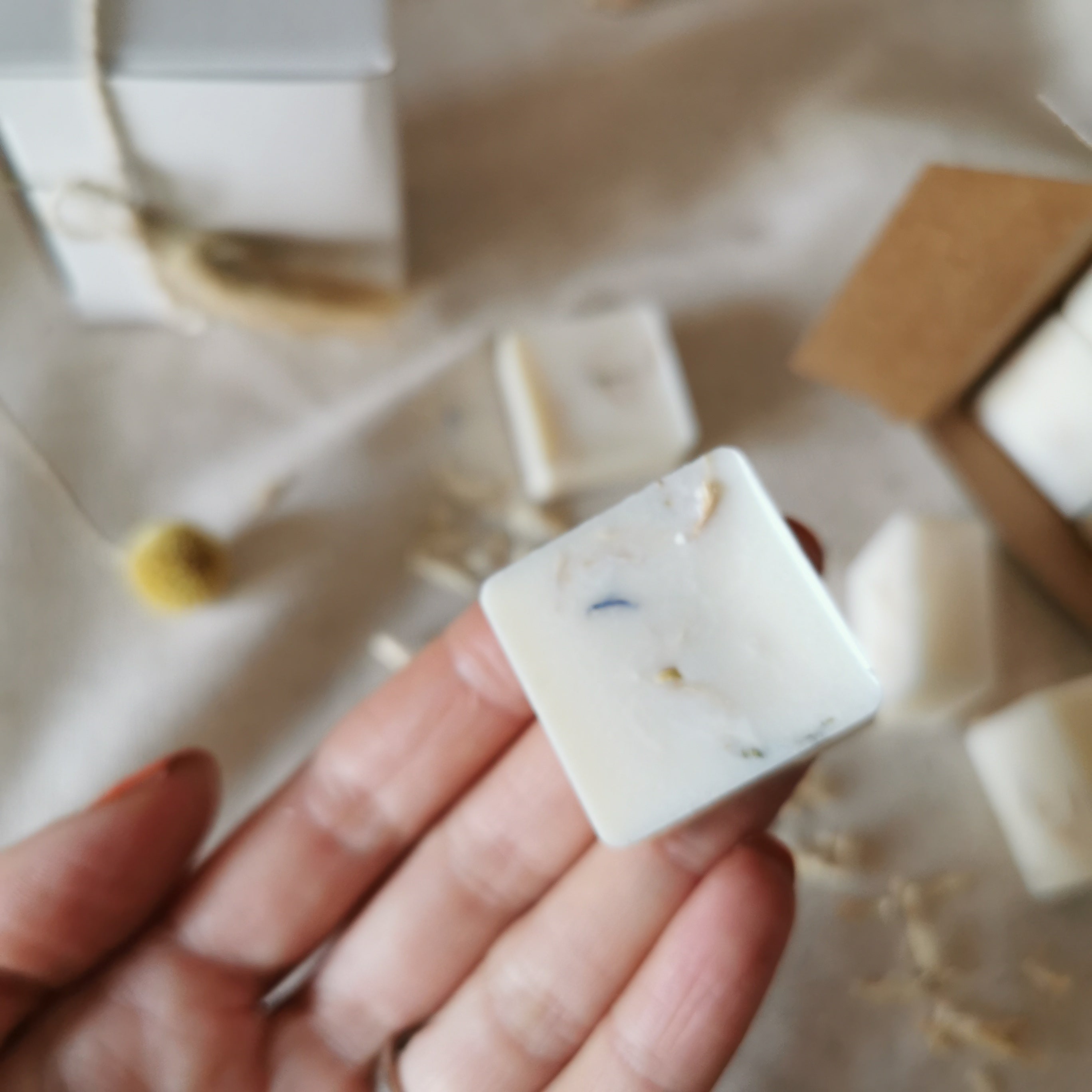 Vanilla Musk Soy Wax Melts