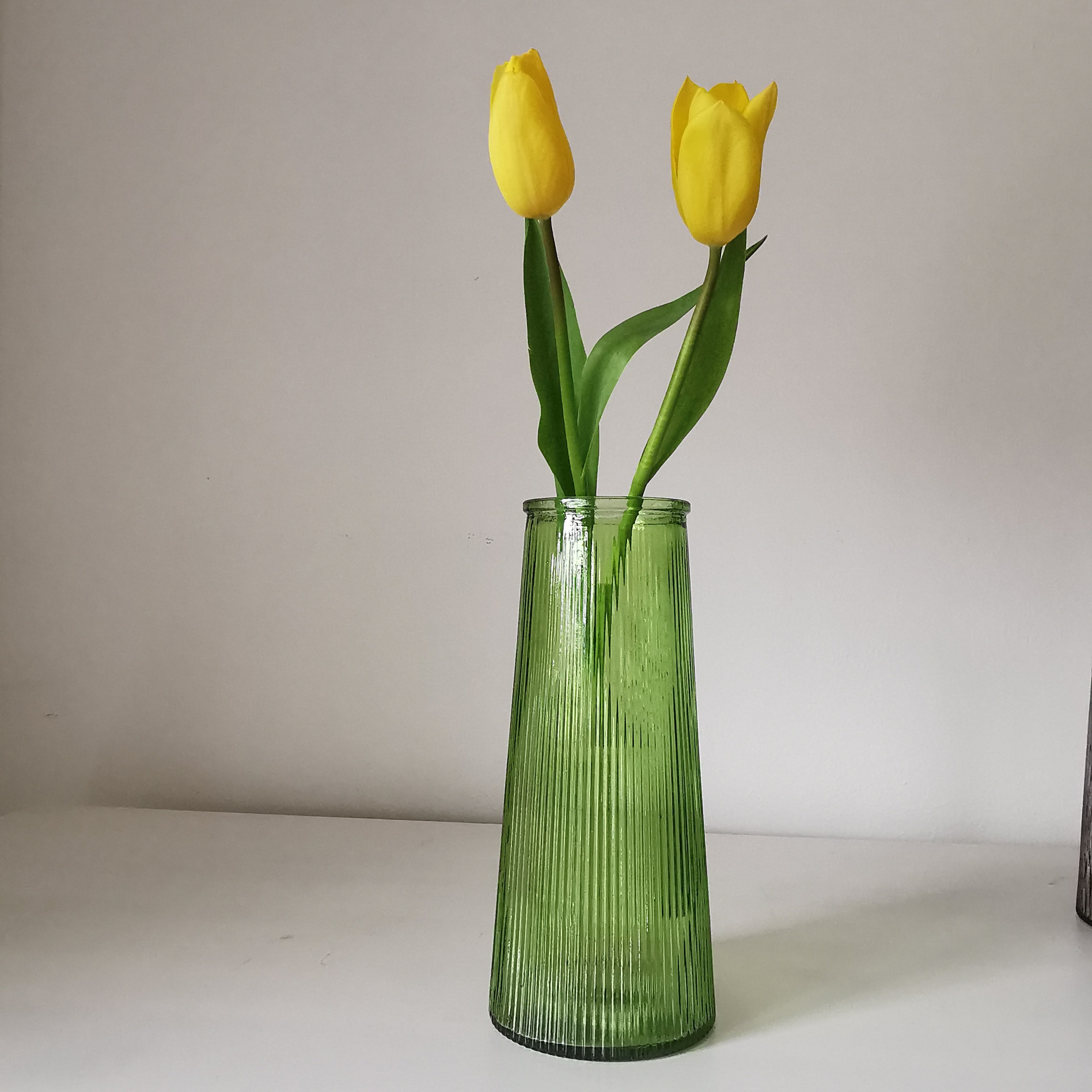 Tall Lined Coloured Bouquet Vase 22cm