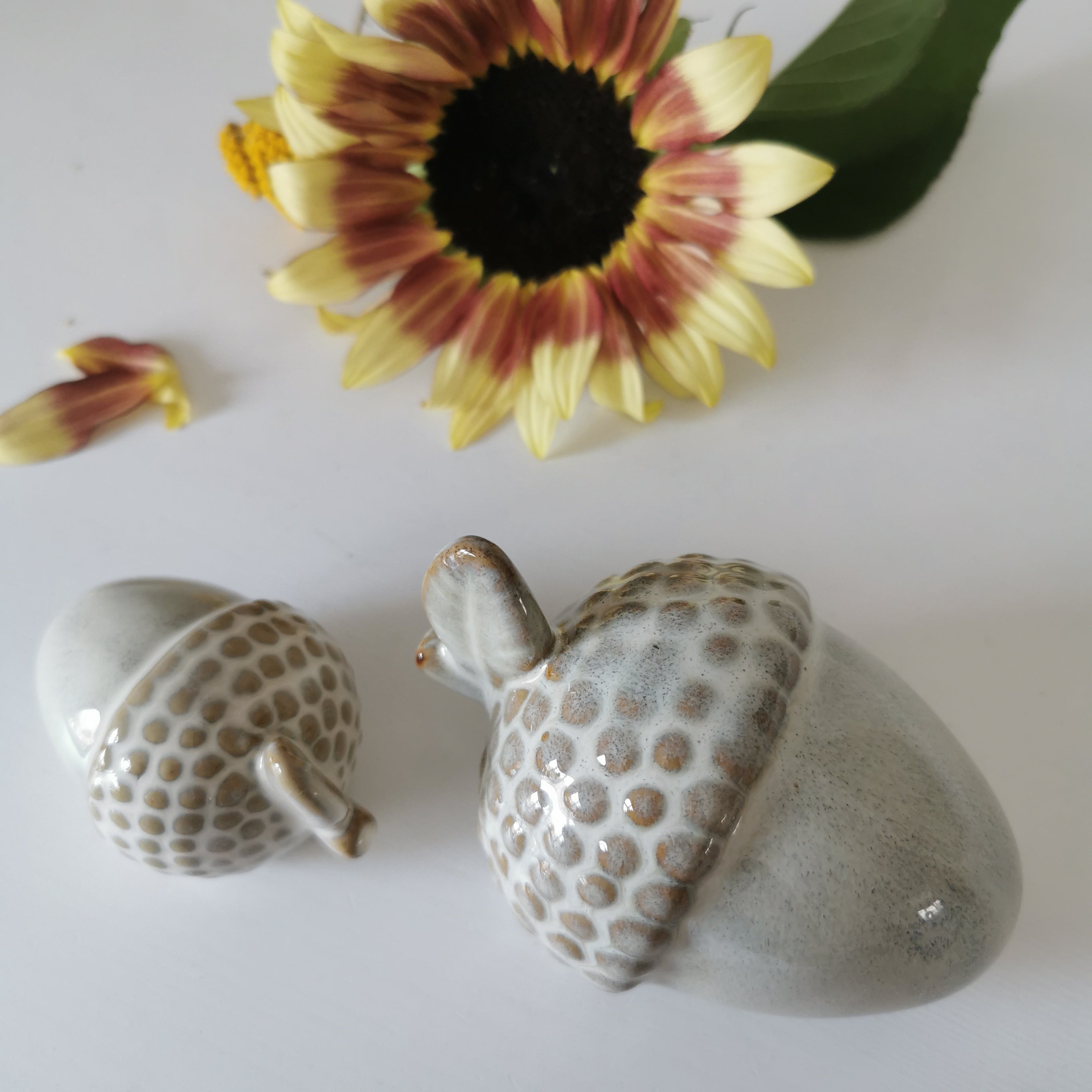 Rustic Acorn Home Decoration Set Reactive Glazed