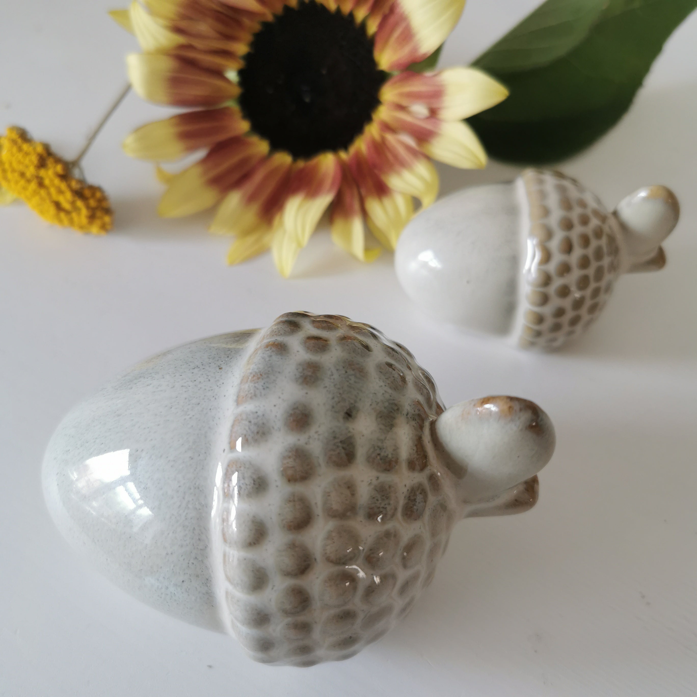 Rustic Acorn Home Decoration Set Reactive Glazed