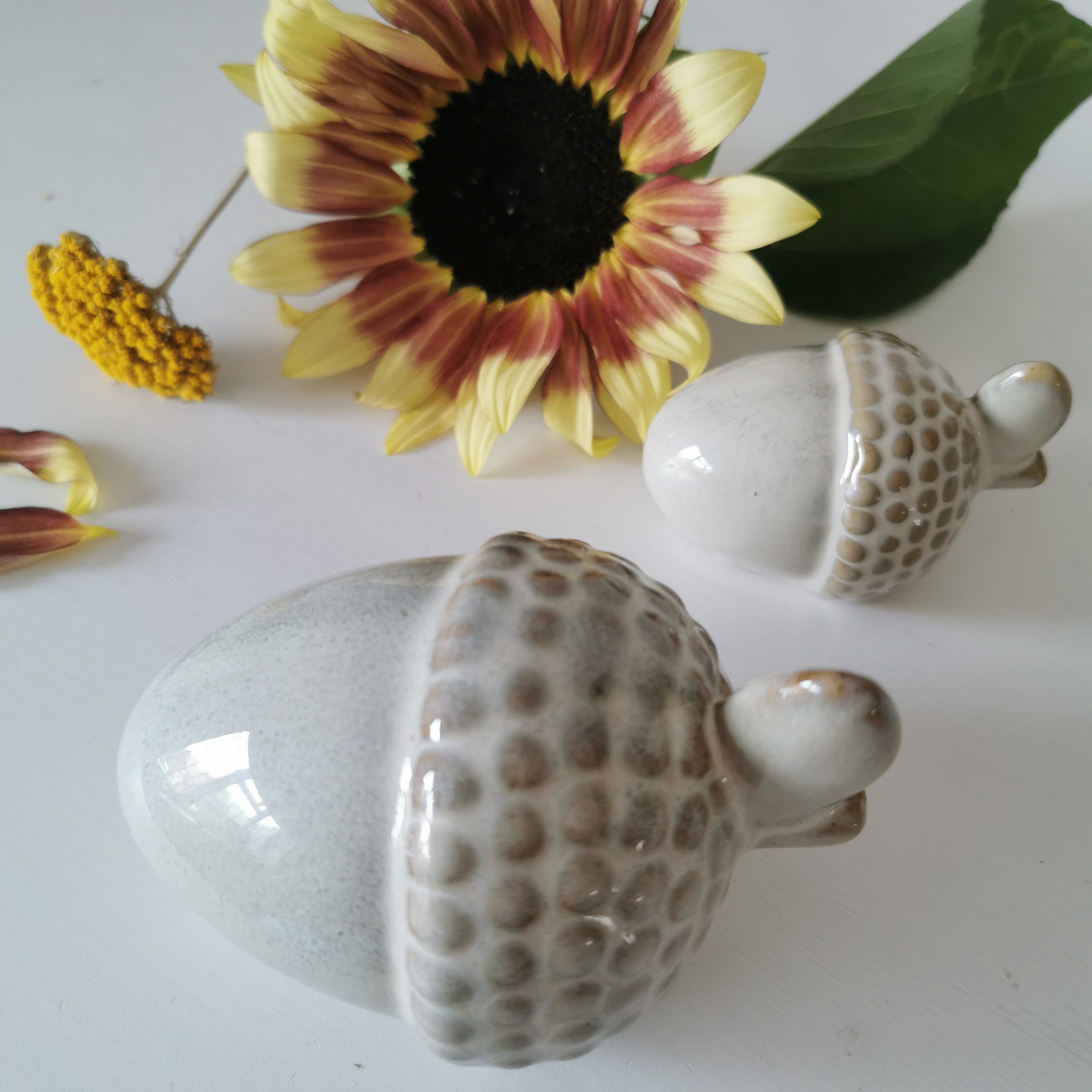 Rustic Acorn Home Decoration Set Reactive Glazed