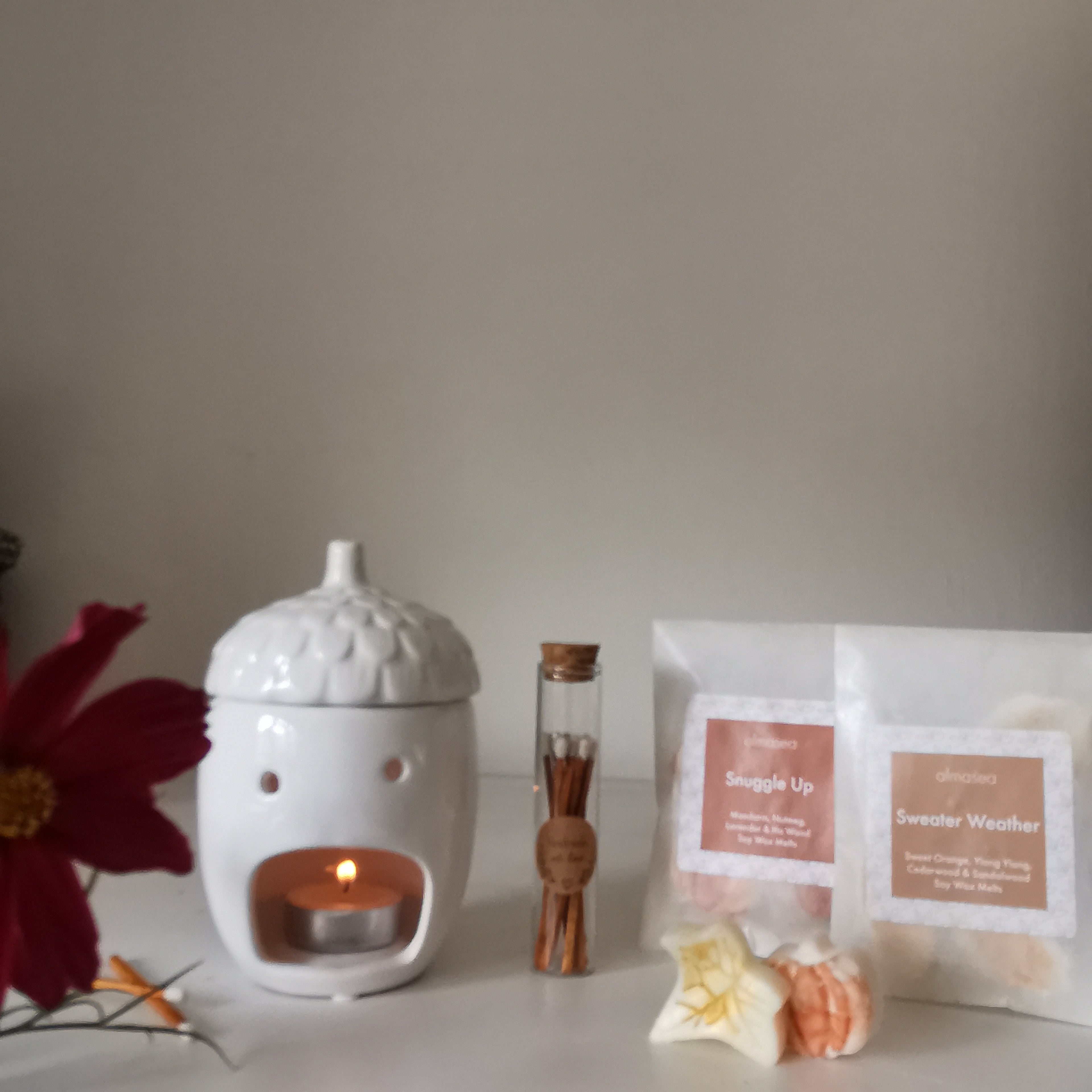 White Acorn Wax Burner & Autumn Melts Gift Set