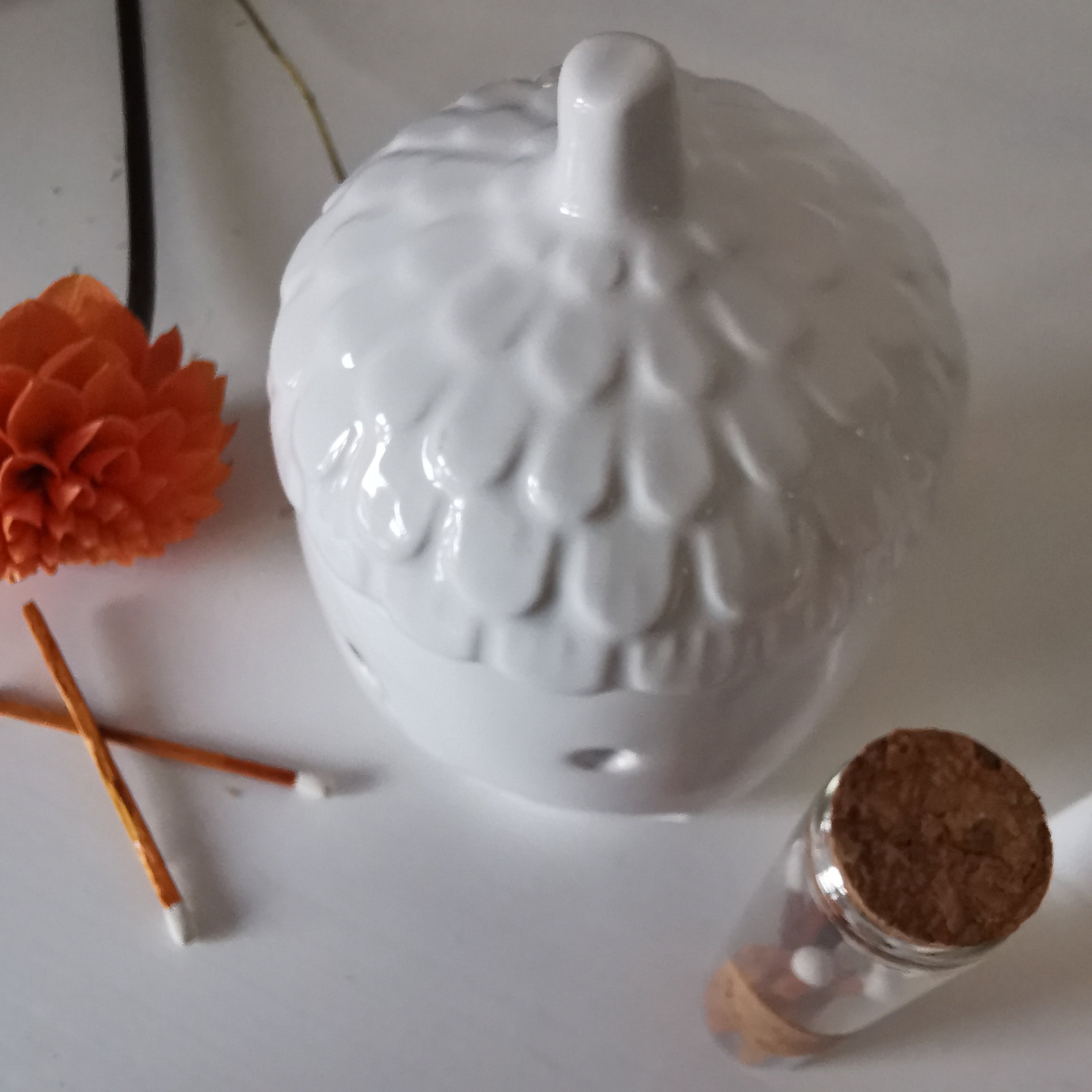 White Acorn Wax Burner & Autumn Melts Gift Set