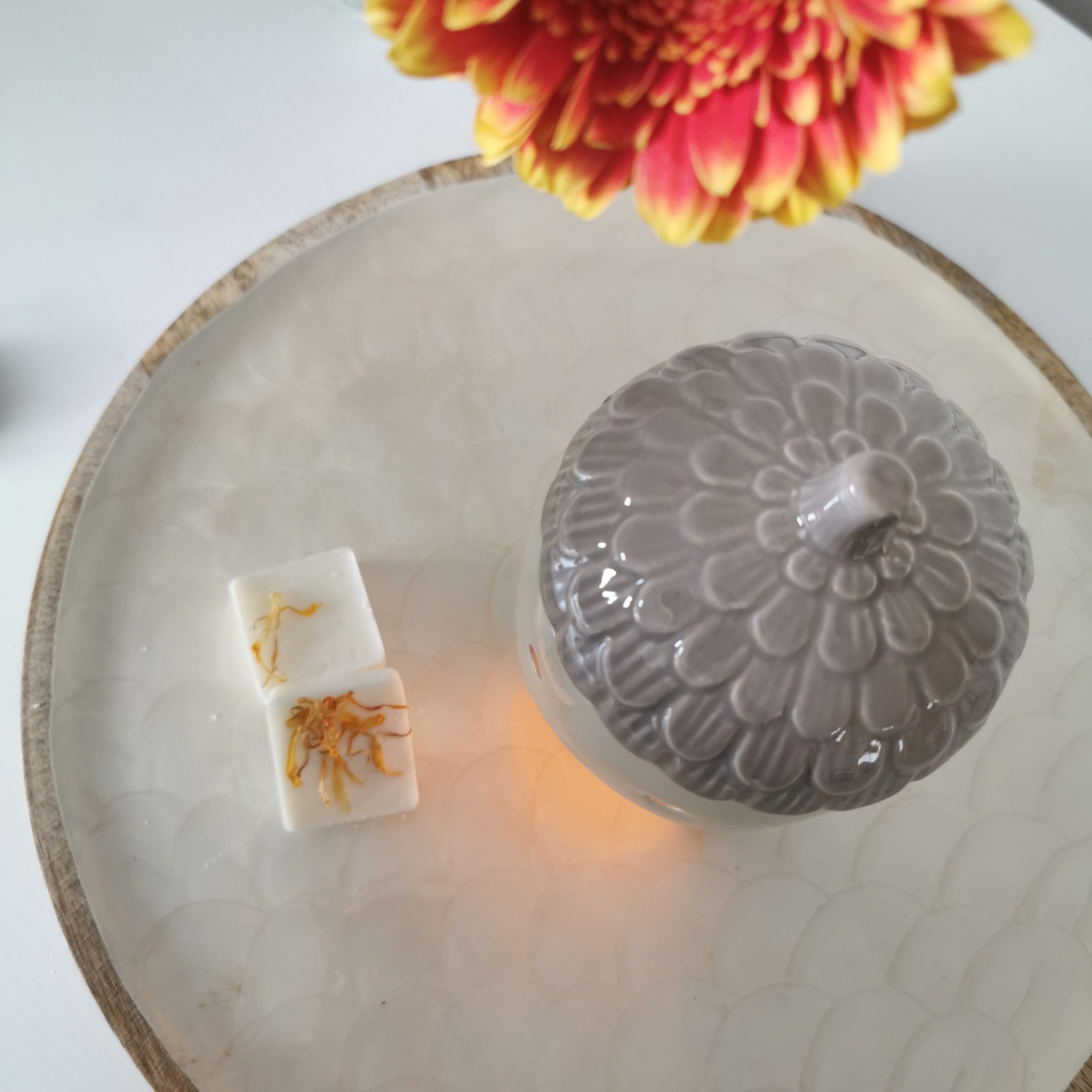 Cream Acorn Shaped Wax Melt Burner with lid