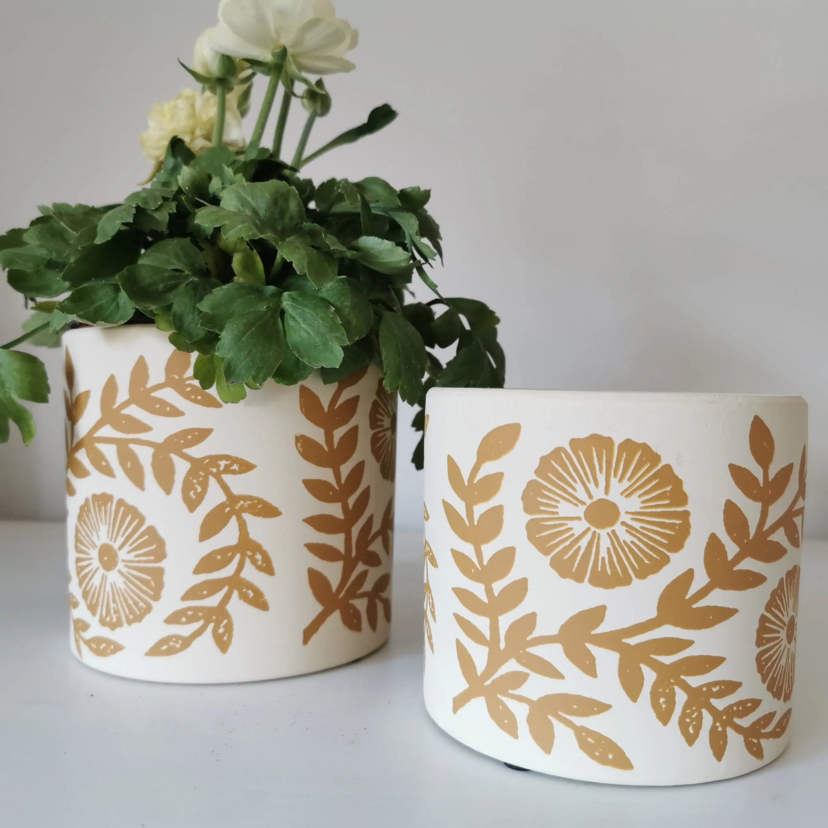Yellow Indoor Planter – Leaf Pattern Cement Plant Pot   Handcrafted Sustainable Living  Almasea