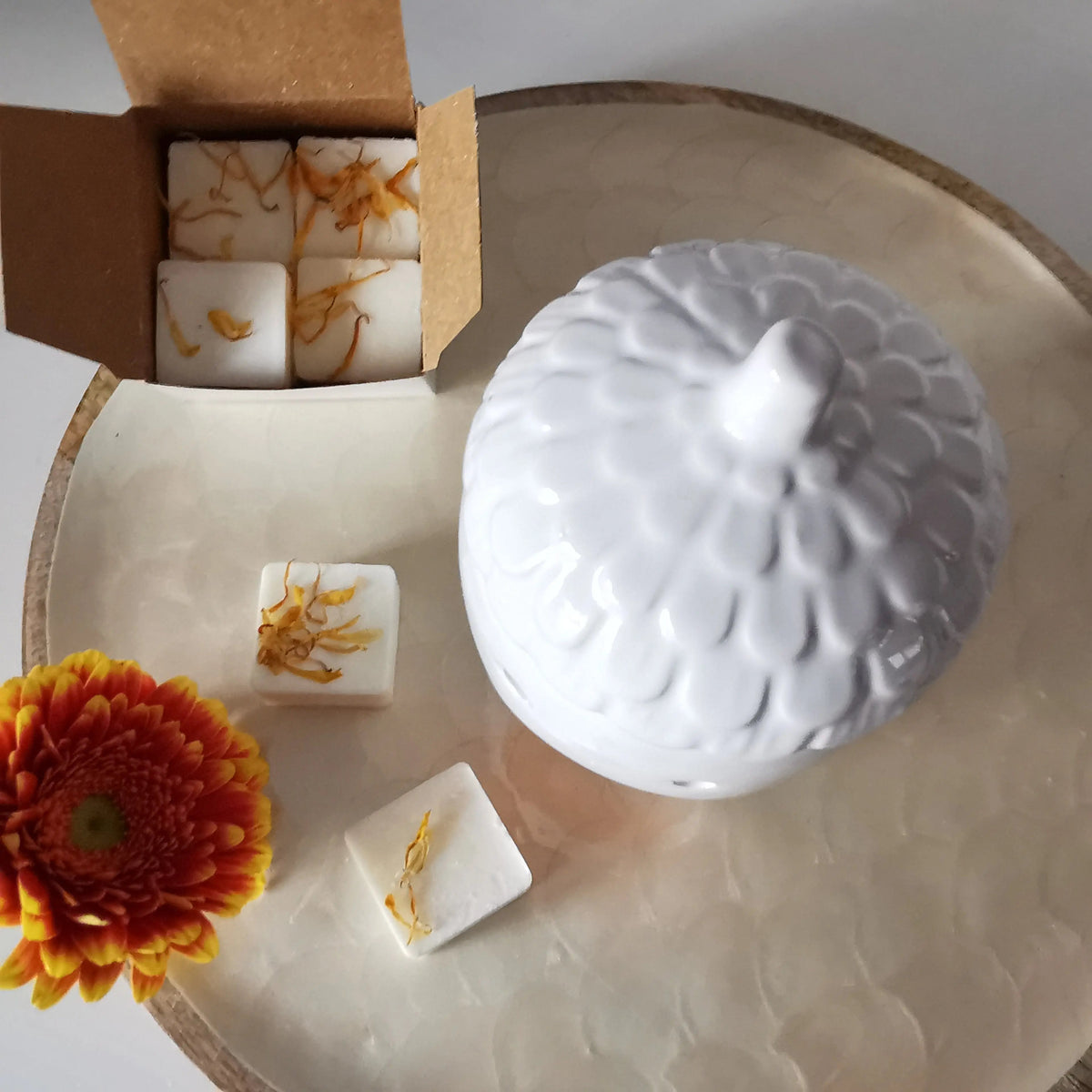 Acorn Wax Melt Burner – Glossy White Ceramic with Lid   Handcrafted Sustainable Living  Almasea