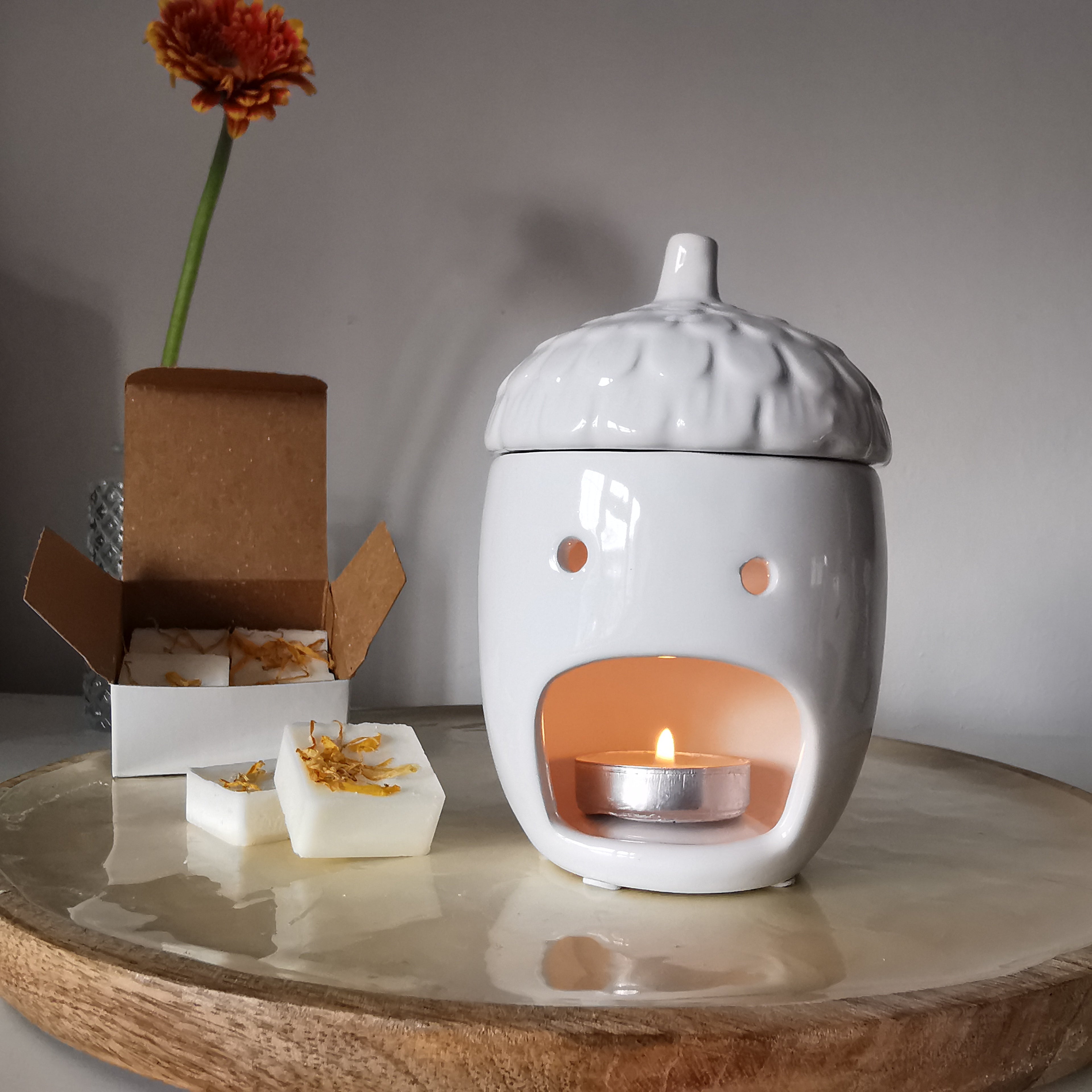 White Ceramic Acorn Wax Melt Burner with lid