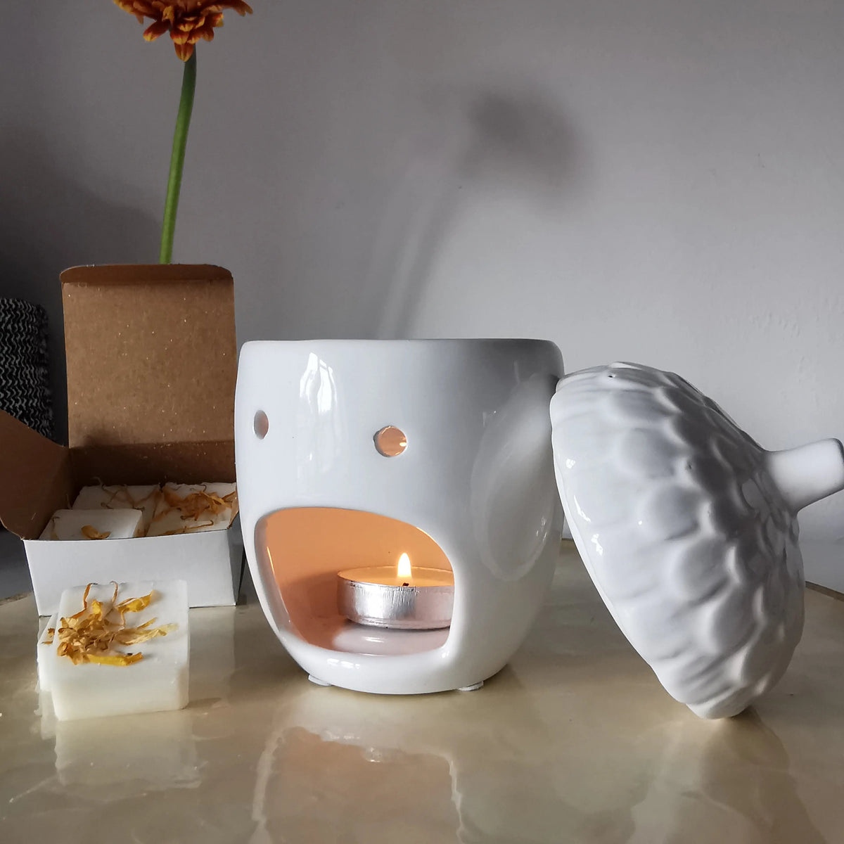 Acorn Wax Melt Burner – Glossy White Ceramic with Lid   Handcrafted Sustainable Living  Almasea