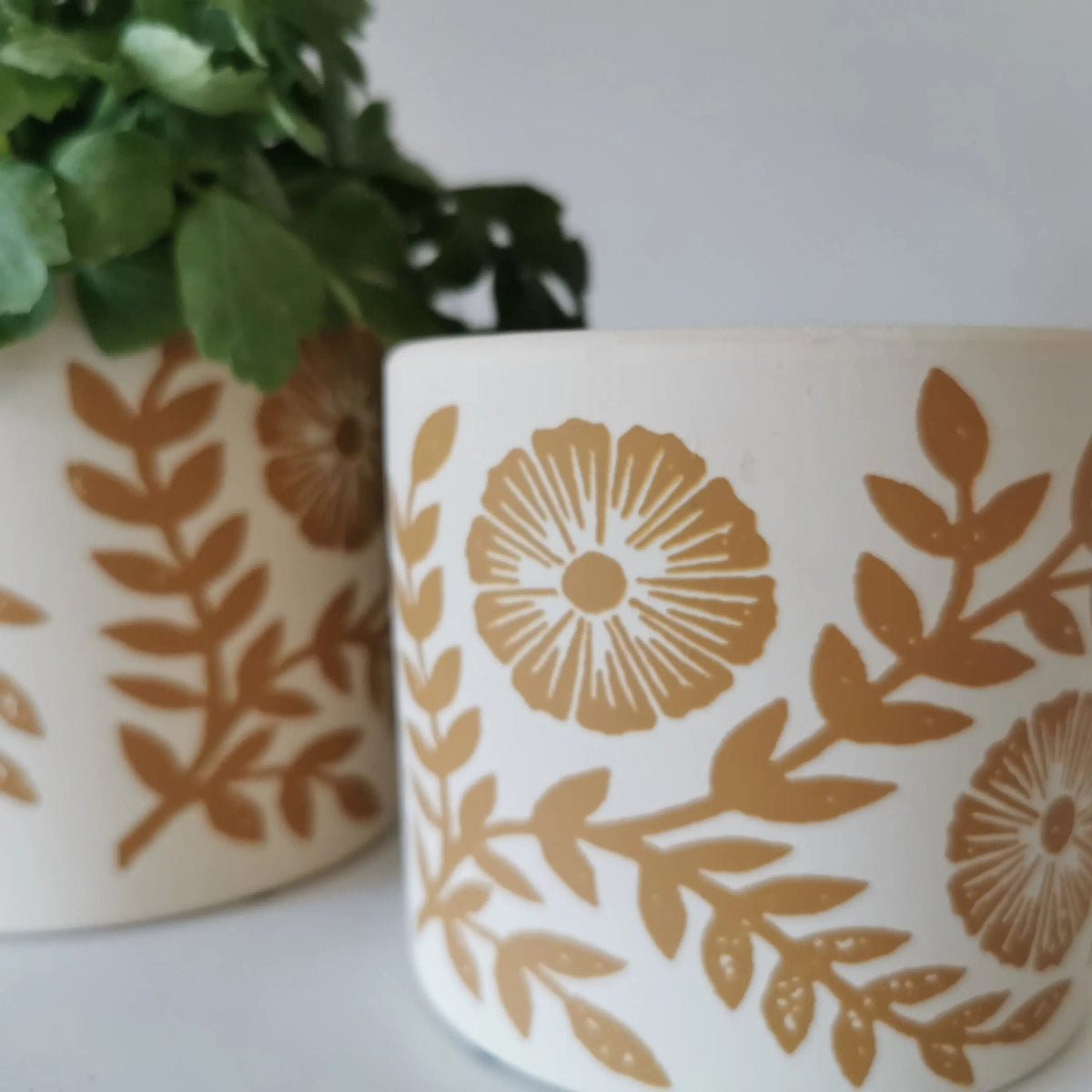 Yellow Indoor Planter – Leaf Pattern Cement Plant Pot   Handcrafted Sustainable Living  Almasea