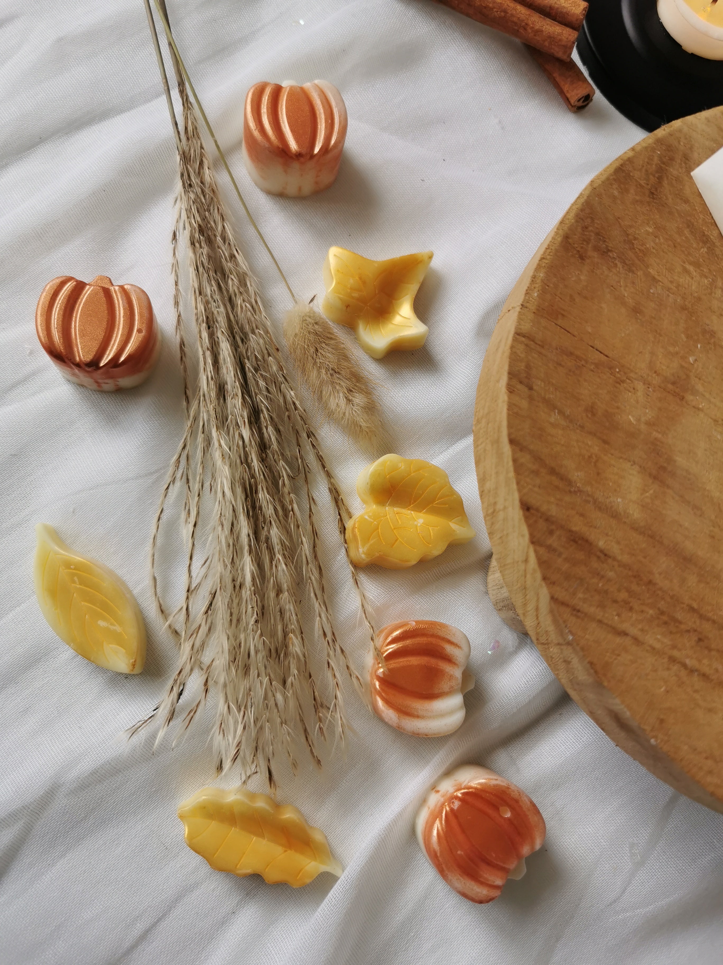 Seasonal Autumn Wax Melts Set