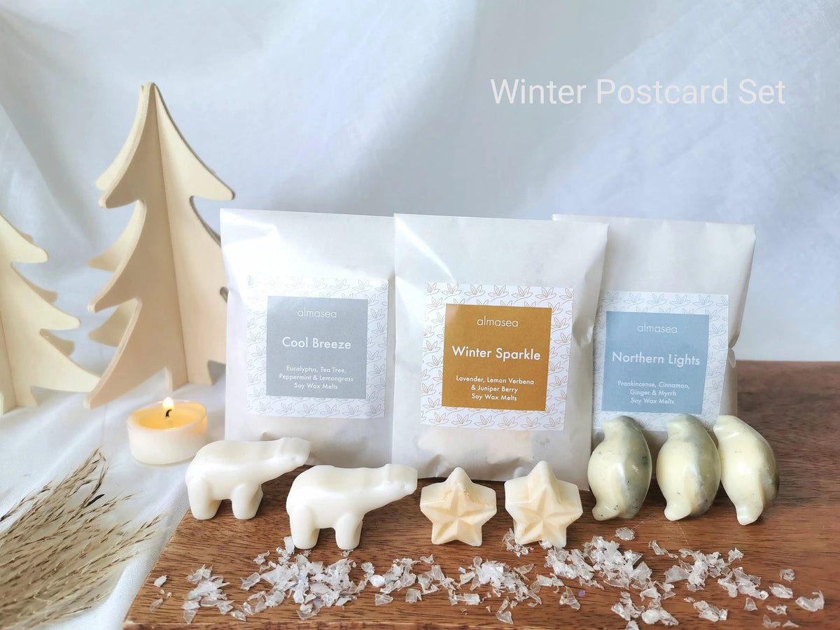 Grey Star Wax Melt Burner Gift Set – Christmas Winter Home Fragrance   Handcrafted Sustainable Living  Almasea