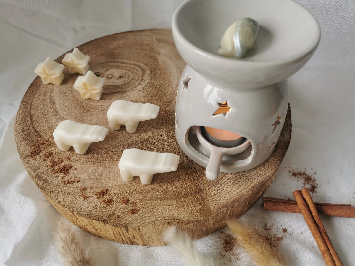 Grey Star Wax Melt Burner Gift Set – Christmas Winter Home Fragrance   Handcrafted Sustainable Living  Almasea