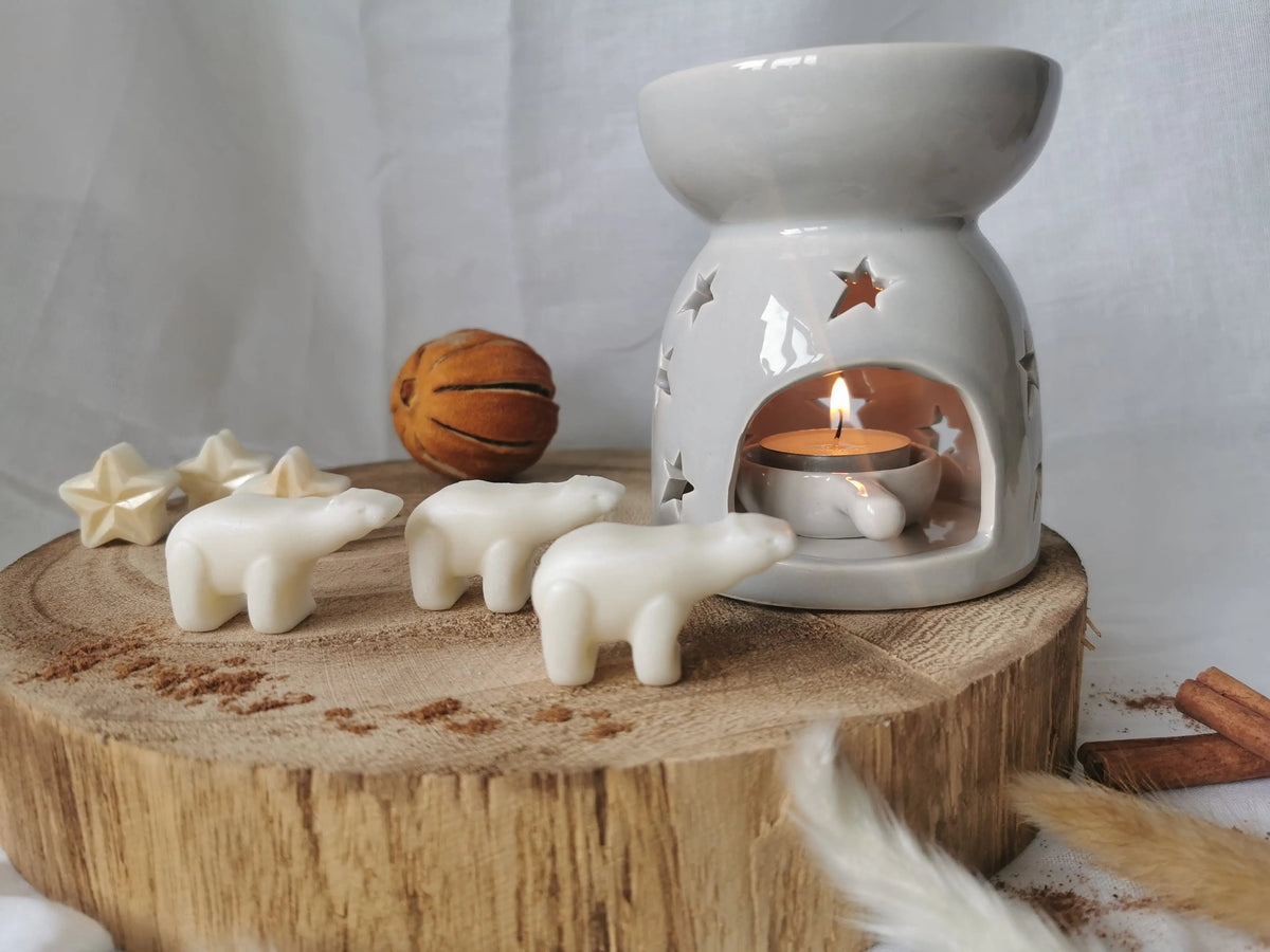 Grey Star Wax Melt Burner Gift Set – Christmas Winter Home Fragrance   Handcrafted Sustainable Living  Almasea