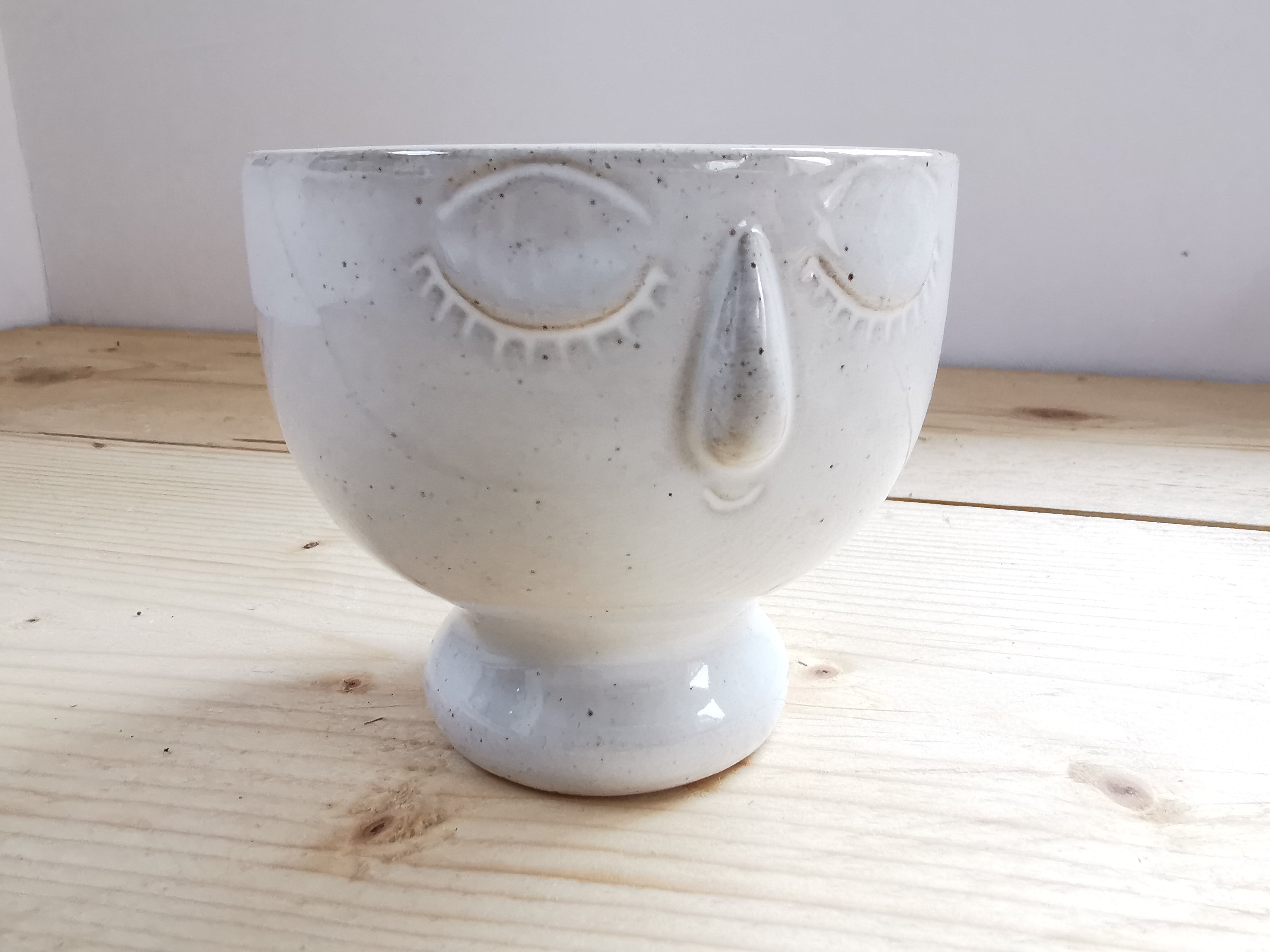 Indoor Plant Pot