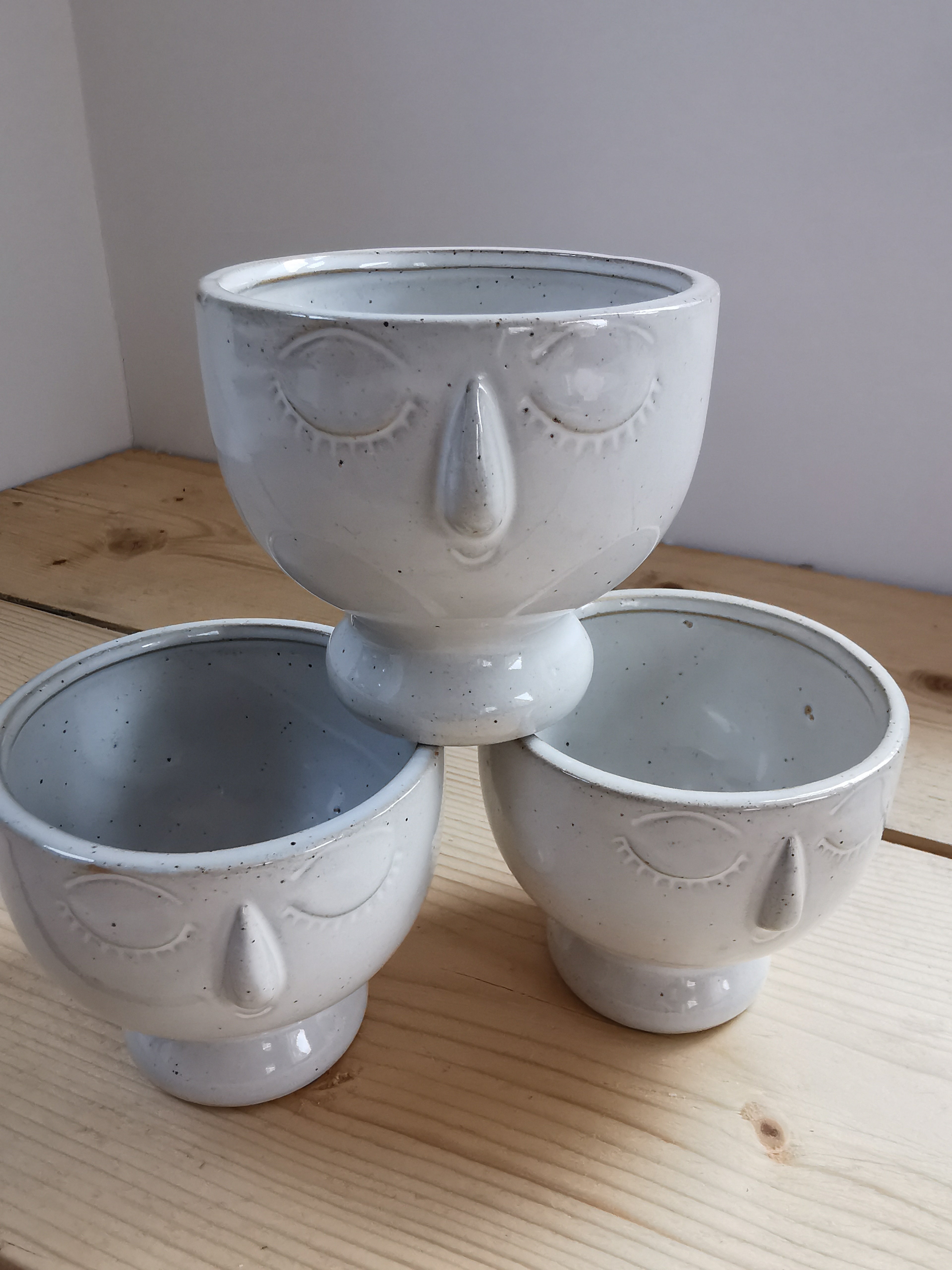 Indoor Plant Pot