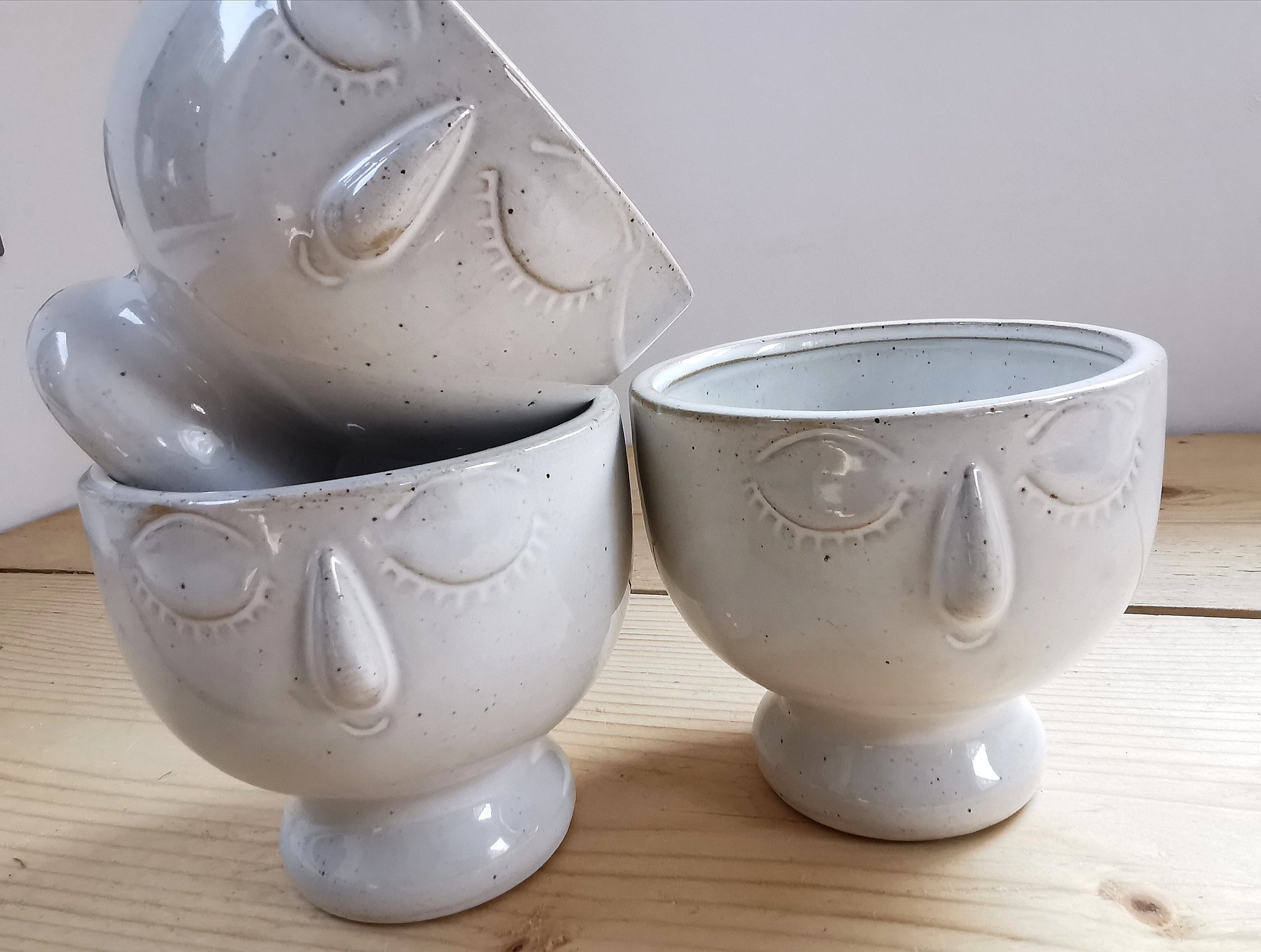 Indoor Plant Pot